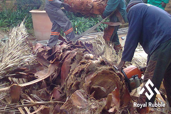 Pawn tree felling by Sa Royal rubble in Pretoria North